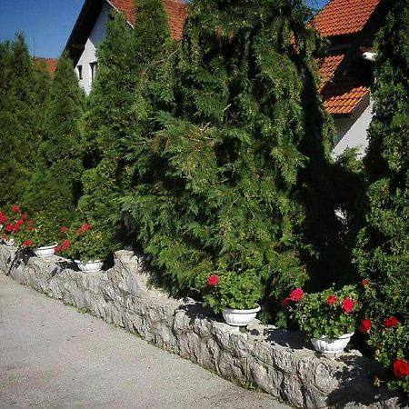 Bozovic Mv Apartments Ζλάτιμπορ Εξωτερικό φωτογραφία