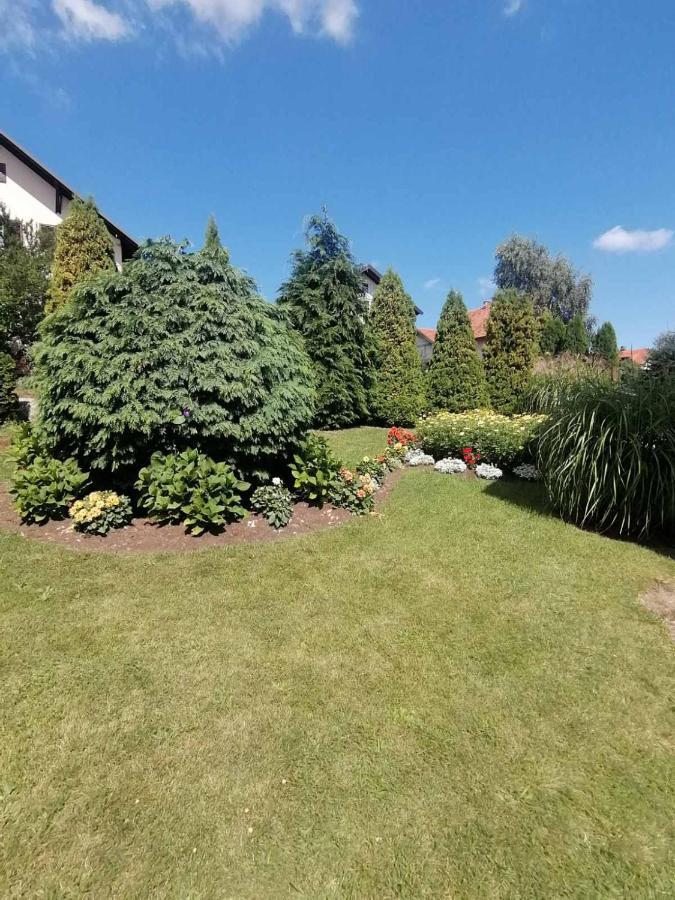 Bozovic Mv Apartments Ζλάτιμπορ Εξωτερικό φωτογραφία