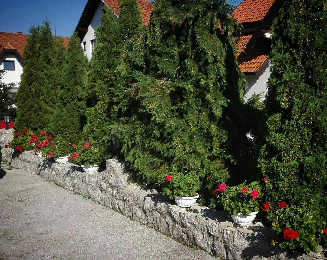 Bozovic Mv Apartments Ζλάτιμπορ Εξωτερικό φωτογραφία